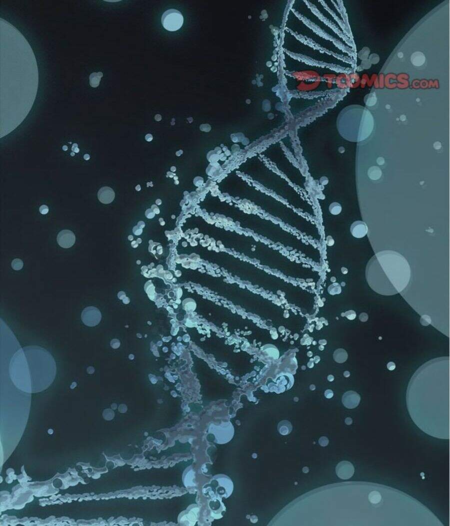 Đứa Con Thần Chết - Chương 173