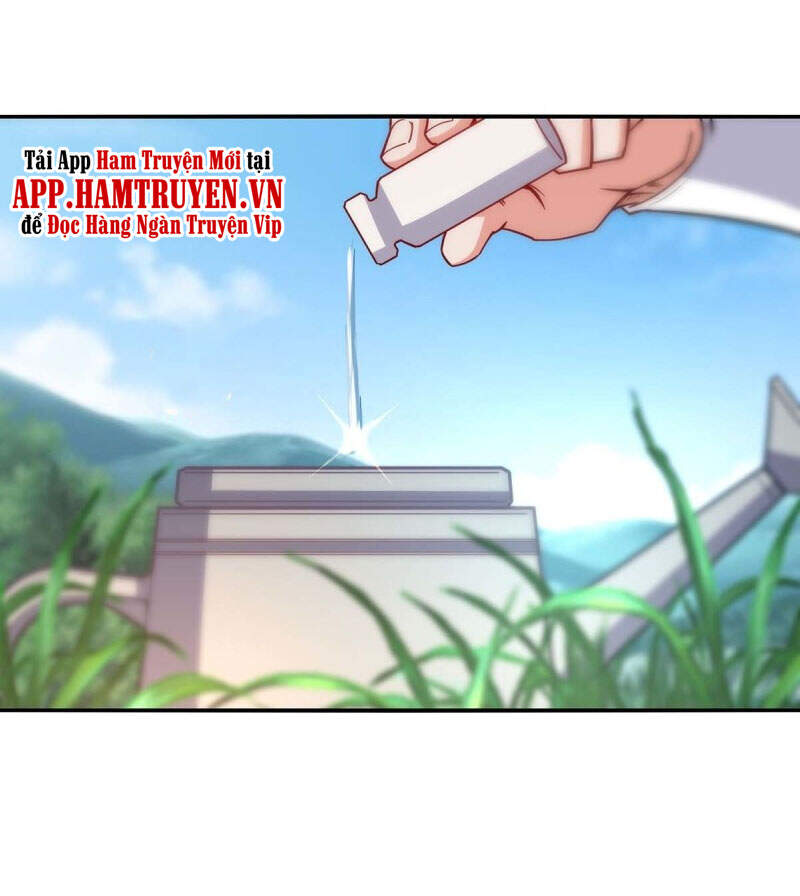 Nghịch Thiên Chí Tôn - Chương 114