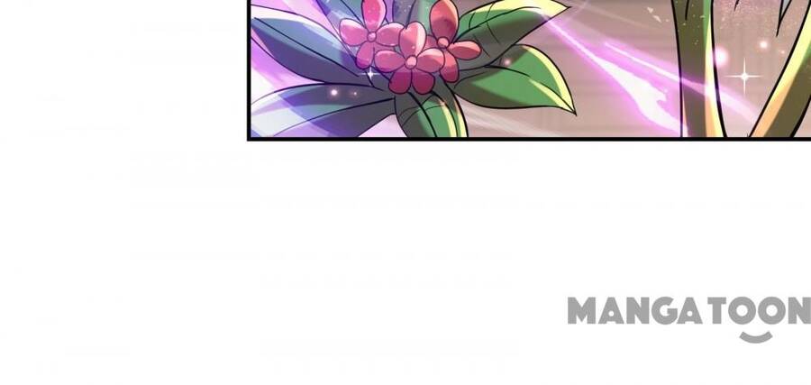 Đệ Nhất Ở Rể - Chương 117.1