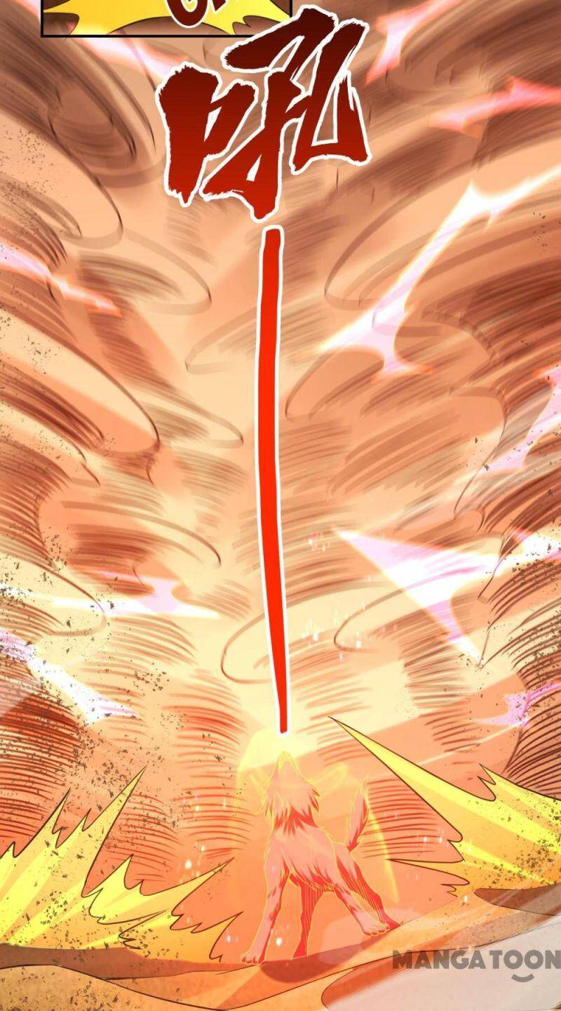 Đệ Nhất Ở Rể - Chương 123