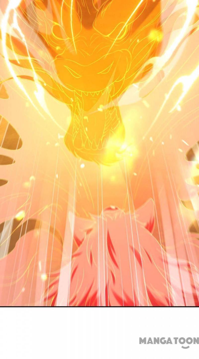 Đệ Nhất Ở Rể - Chương 123