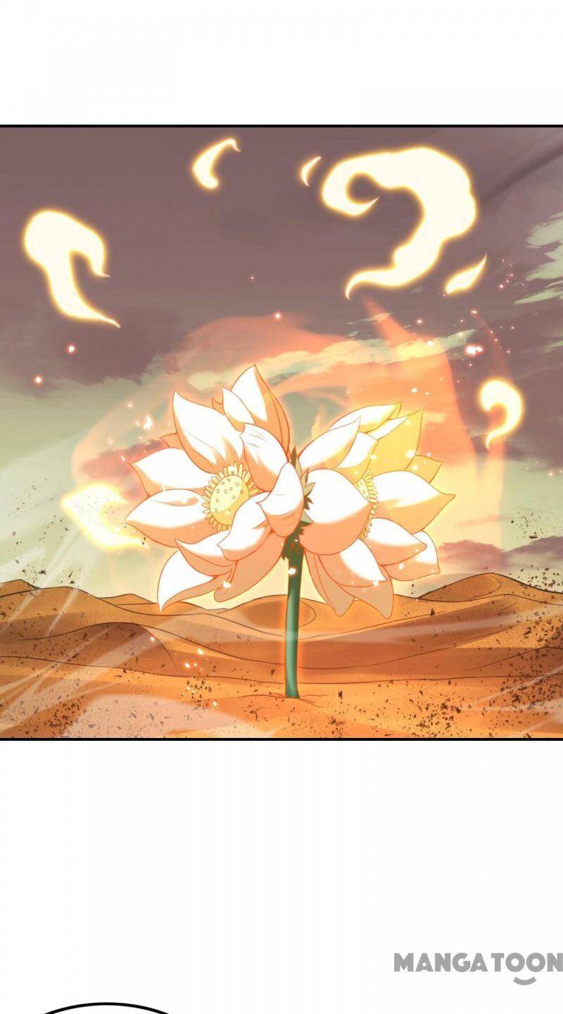 Đệ Nhất Ở Rể - Chương 123