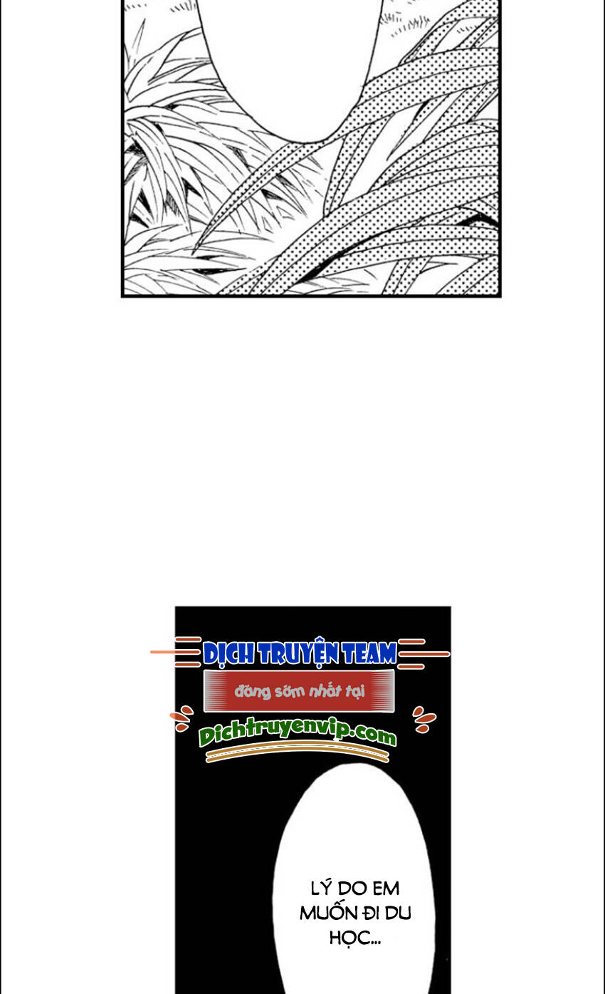 Nụ Hôn Cháy Bỏng - Chương 82