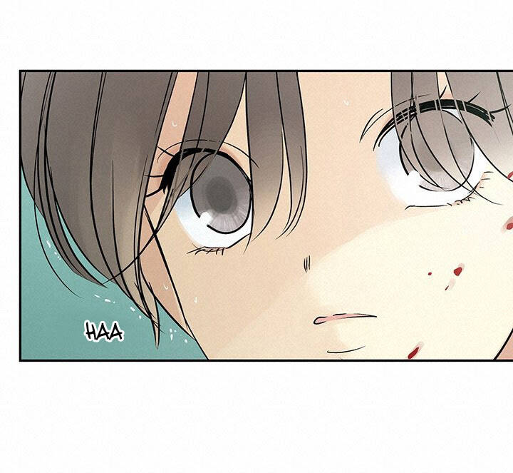 Lãnh Địa Totem - Chương 40