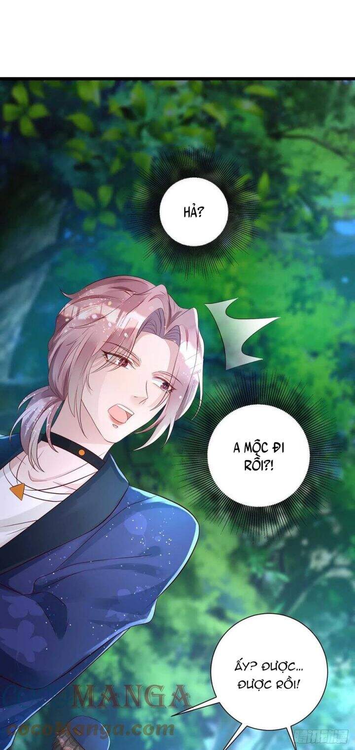 Thú Thụ Bất Thân - Chương 49