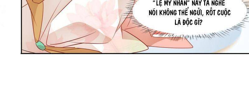 Nghe Nói Ta Là Hợp Hoan Lão Tổ? - Chương 6