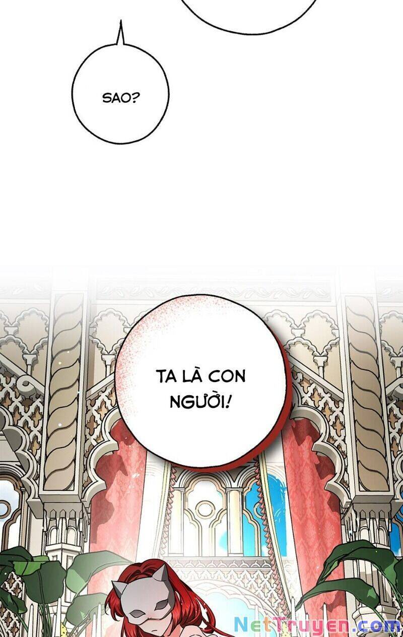 Hôn Phu Ẩn Sắc - Chương 39