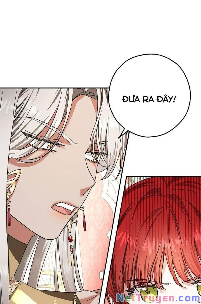 Hôn Phu Ẩn Sắc - Chương 39