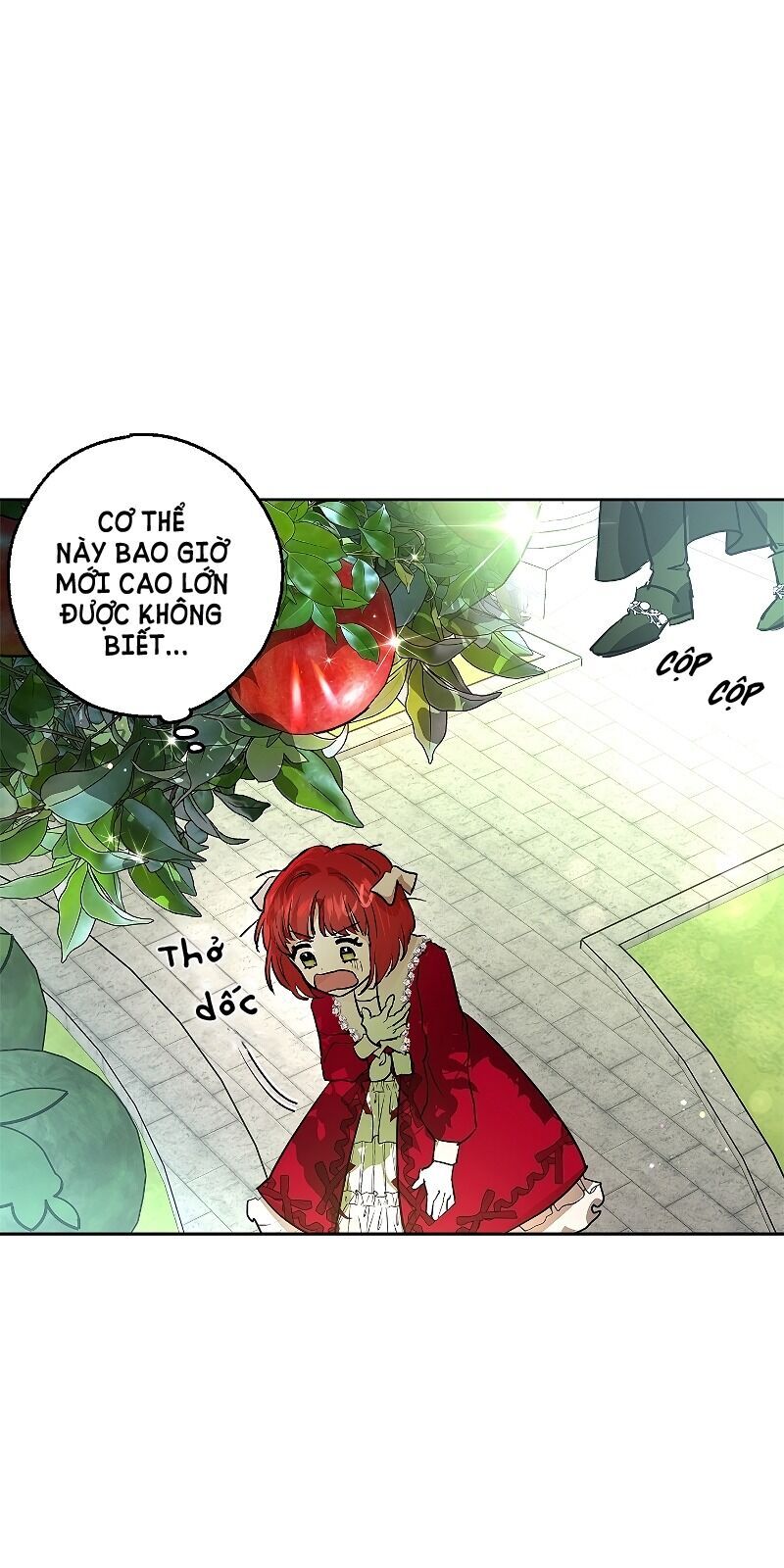 Hôn Phu Ẩn Sắc - Chương 5