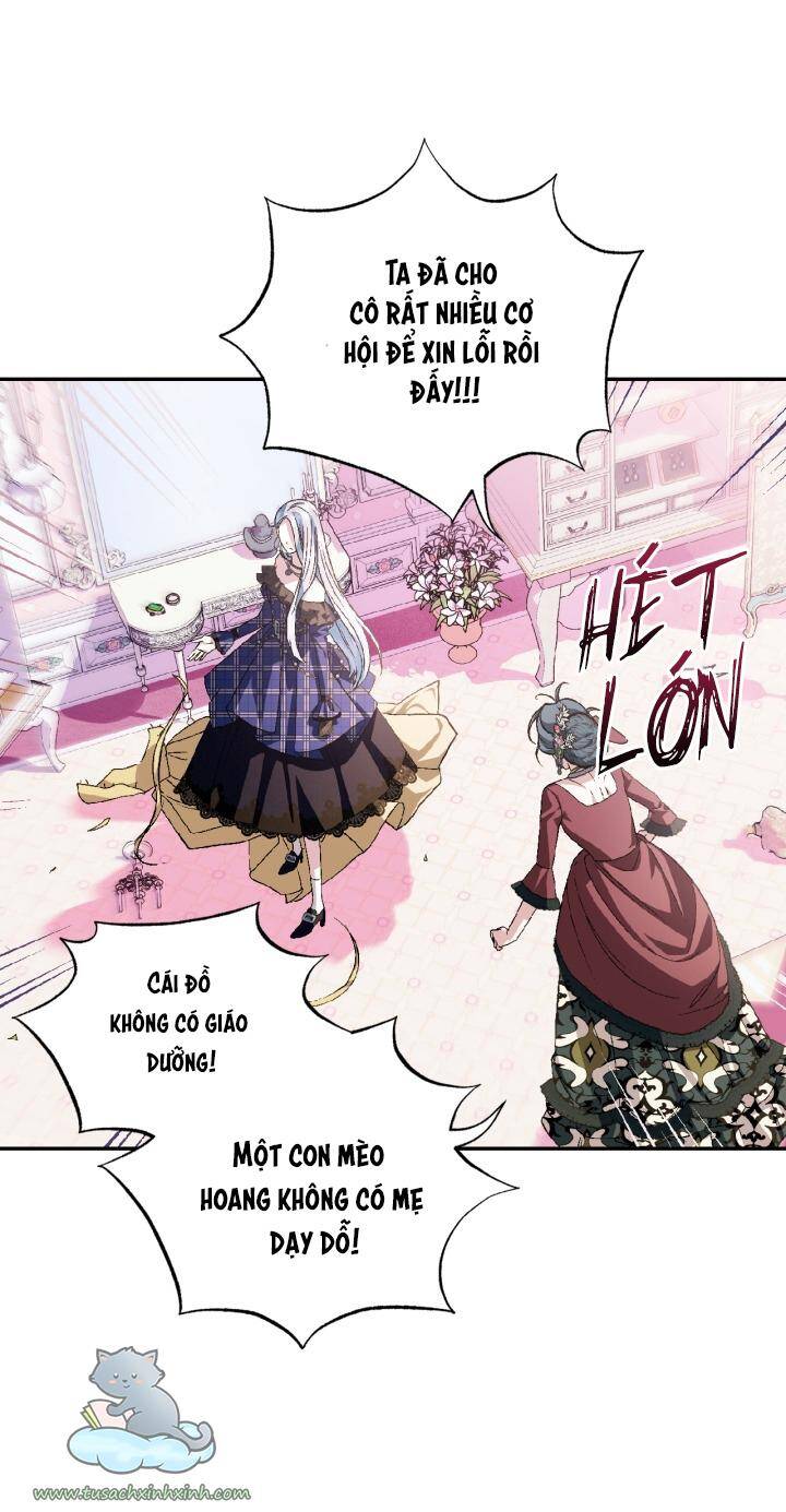 Cha Ơi Con Không Muốn Kết Hôn Đâu - Chương 62