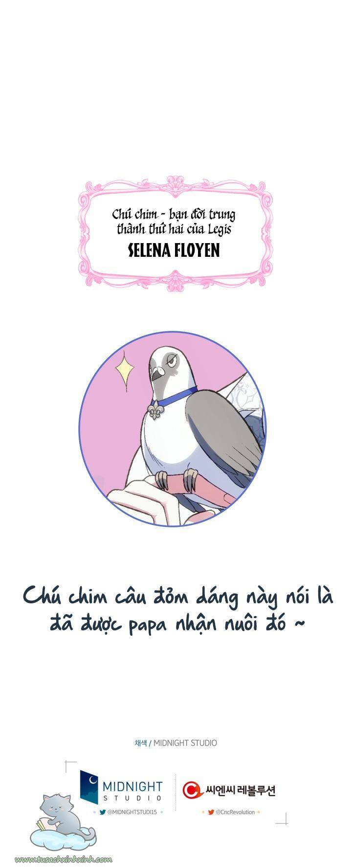 Cha Ơi Con Không Muốn Kết Hôn Đâu - Chương 62