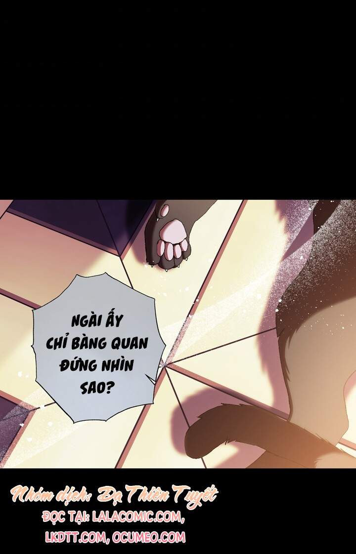 Cha Ơi Con Không Muốn Kết Hôn Đâu - Chương 49