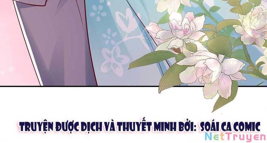 Sự Trả Thù Của Nữ Vương - Chương 110