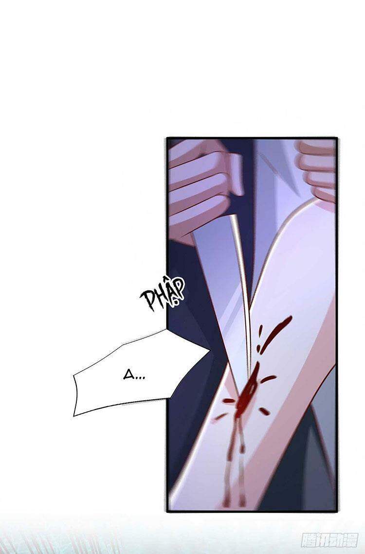 Sự Trả Thù Của Nữ Vương - Chương 51