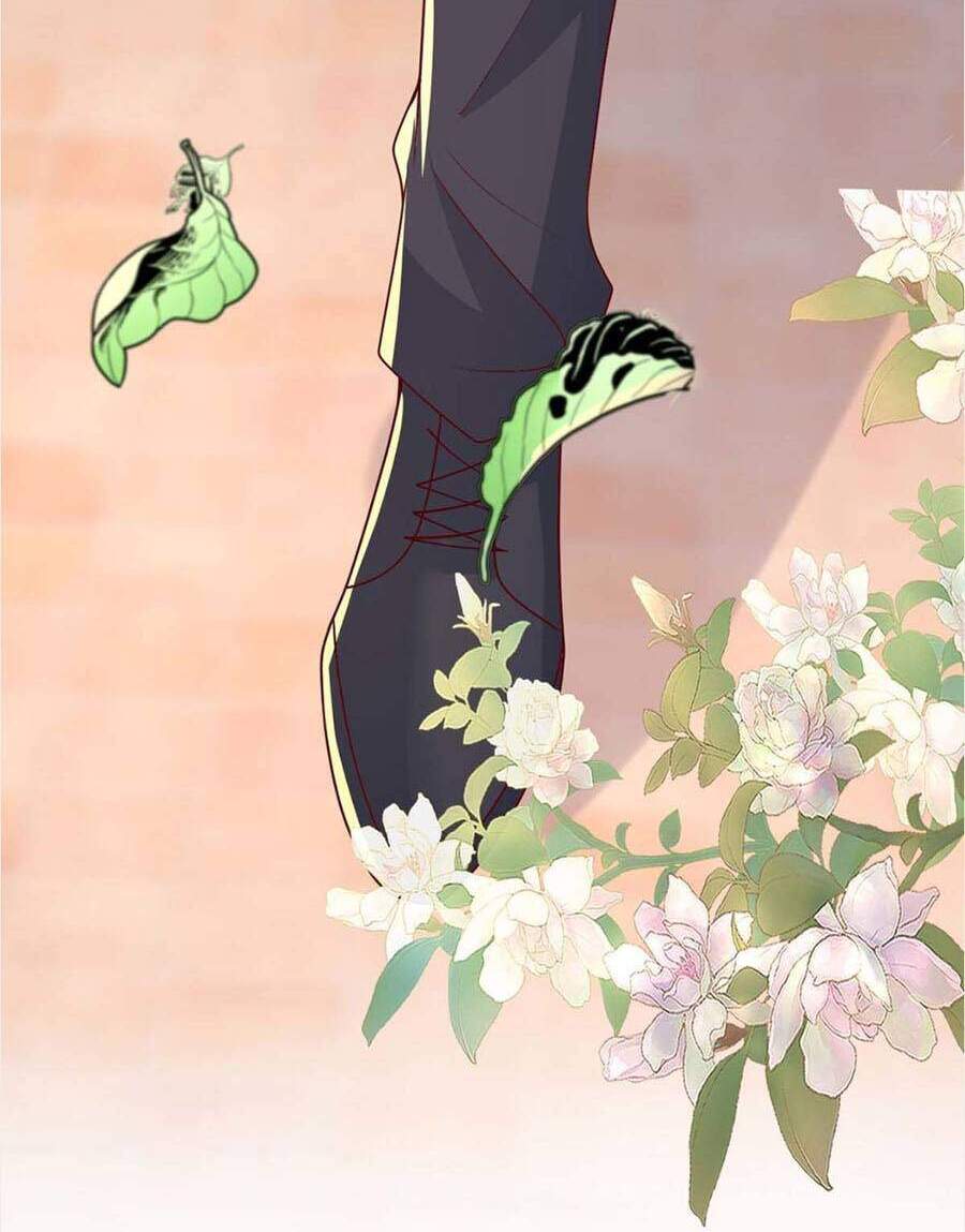 Sự Trả Thù Của Nữ Vương - Chương 76