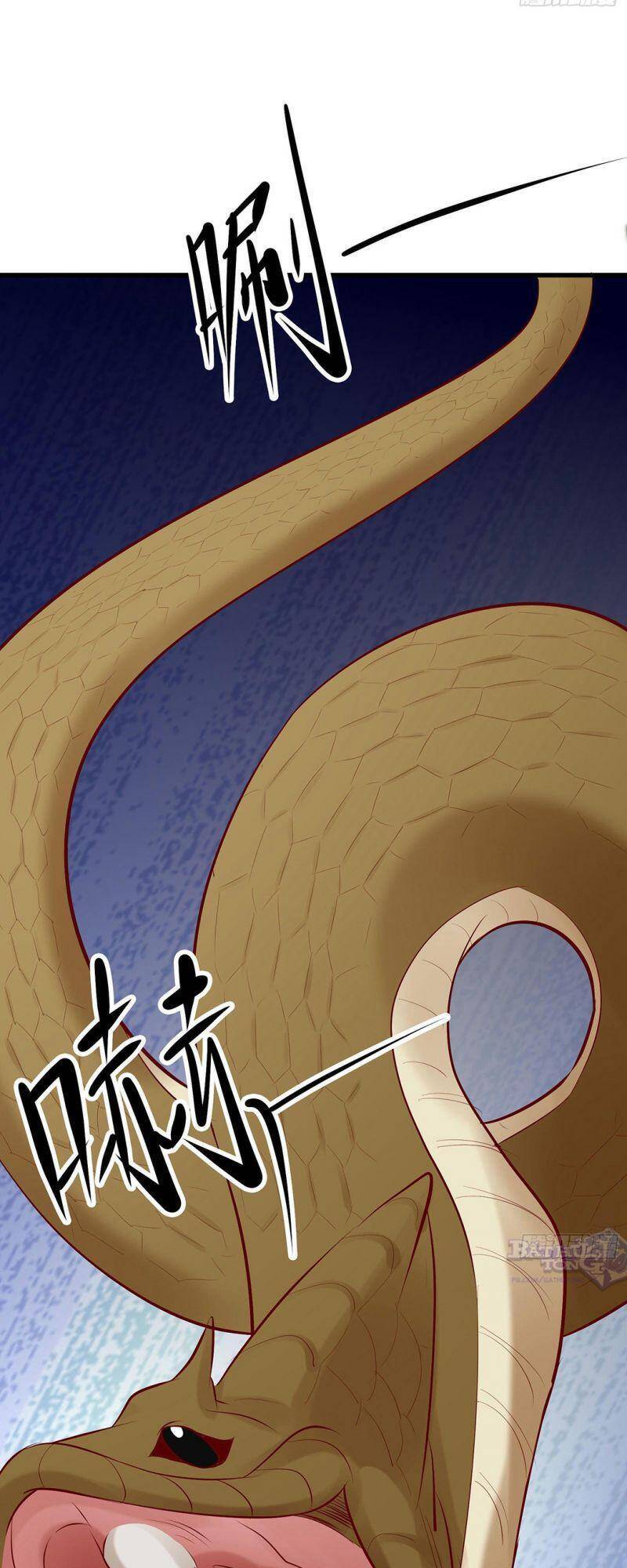 Đồ Đệ Của Ta Đều Là Nữ Ma Đầu - Chương 21