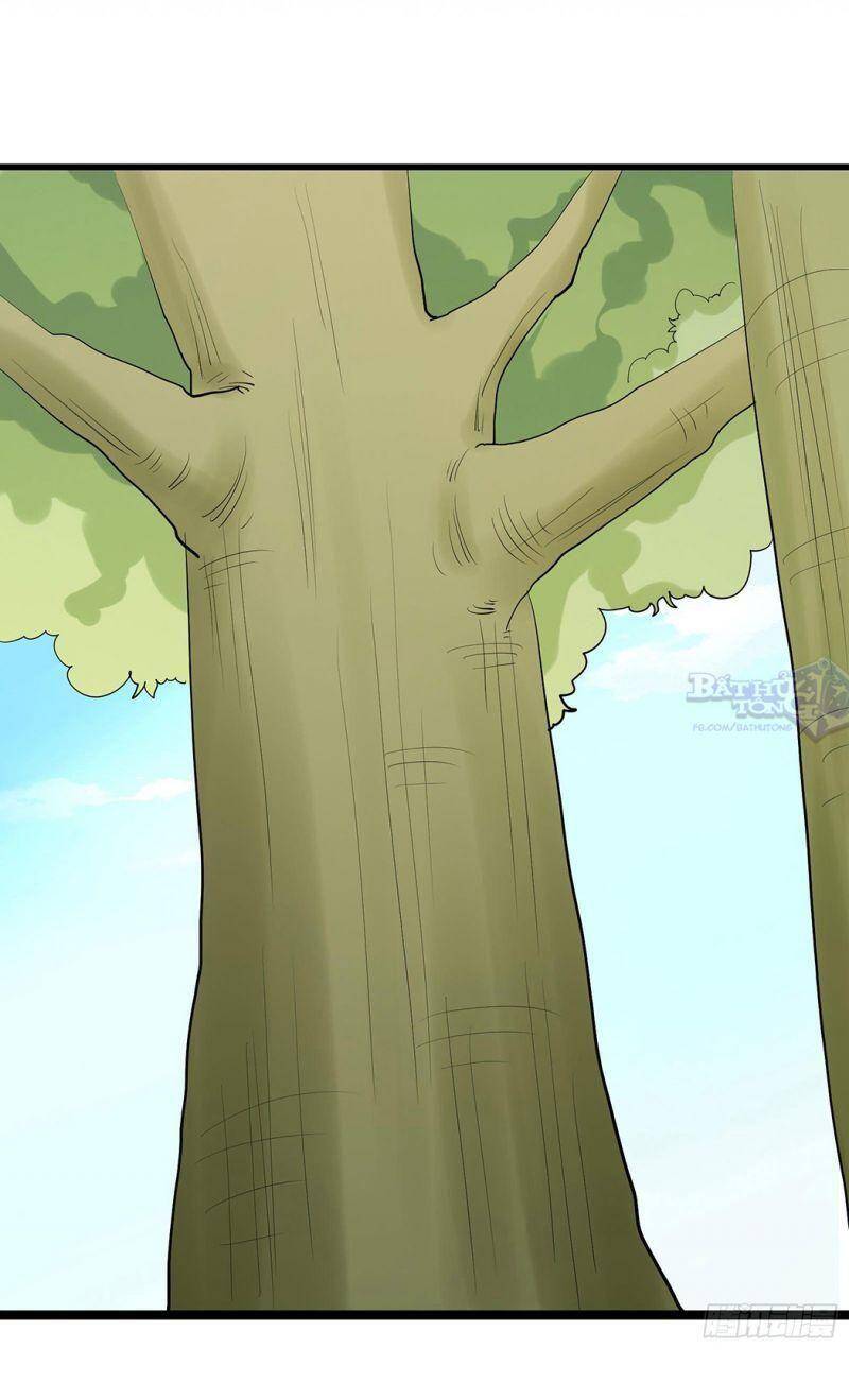 Đồ Đệ Của Ta Đều Là Nữ Ma Đầu - Chương 23