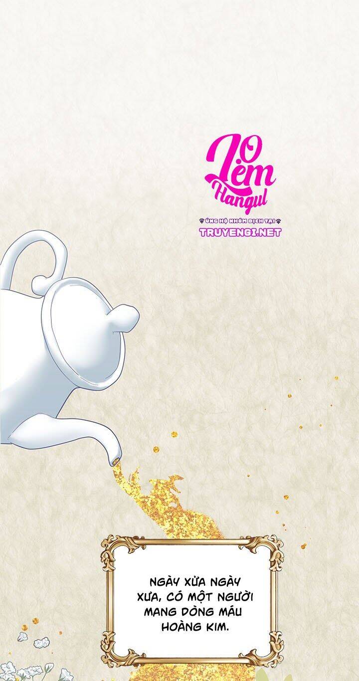 Công Chúa Của Loài Chim - Chương 1