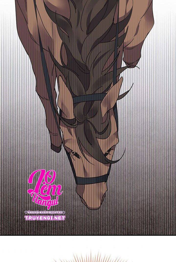 Công Chúa Của Loài Chim - Chương 1