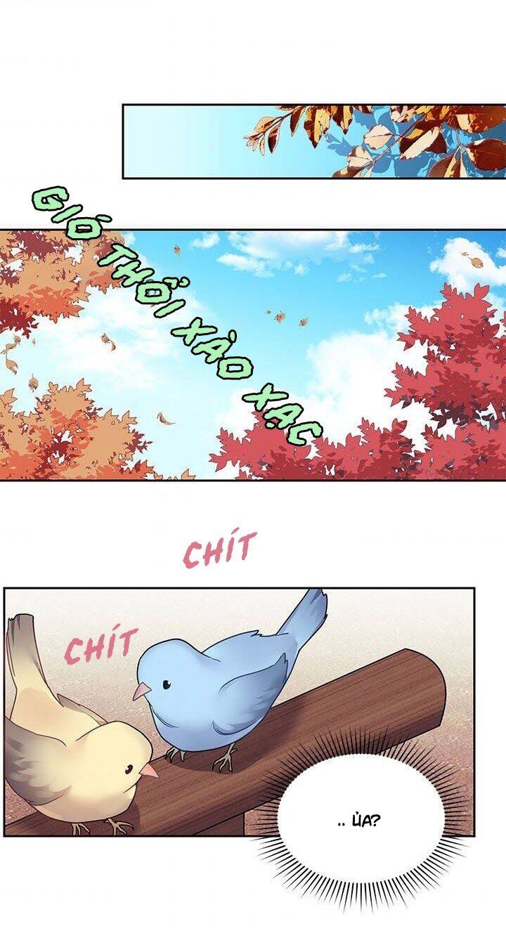 Công Chúa Của Loài Chim - Chương 1