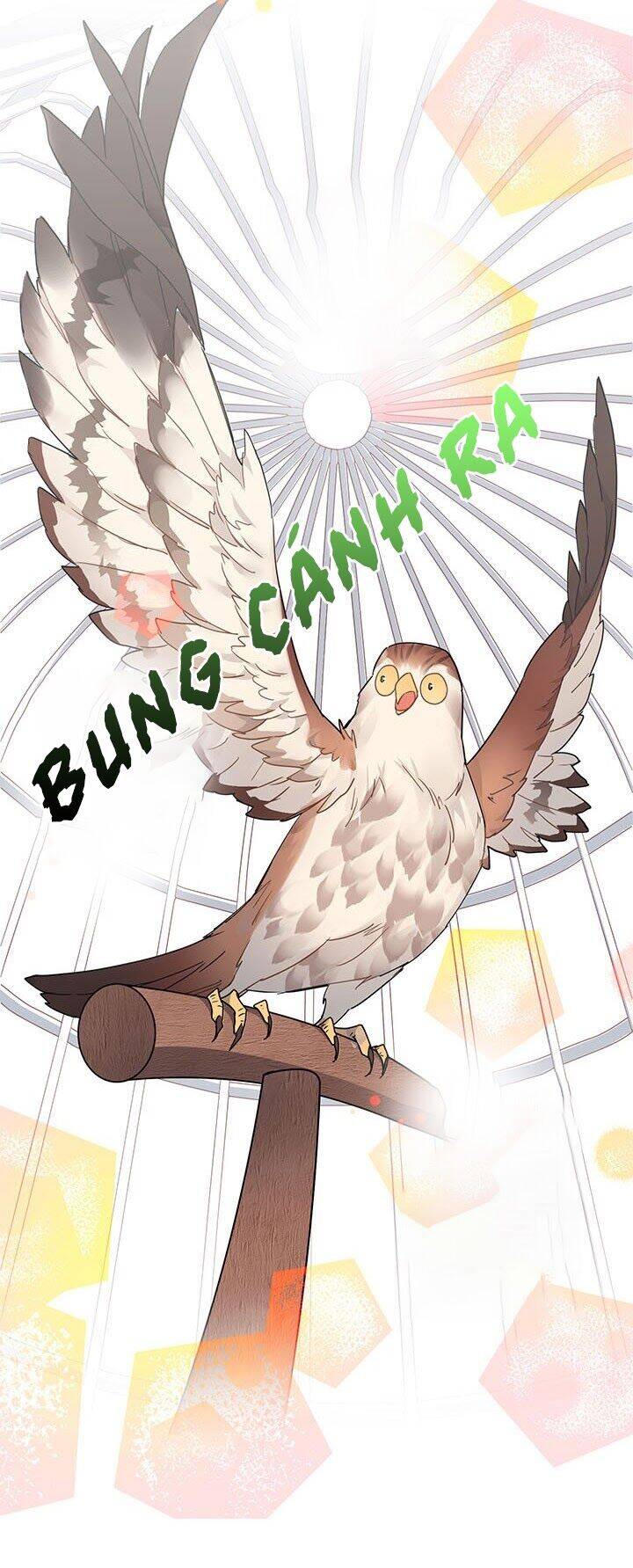 Công Chúa Của Loài Chim - Chương 1