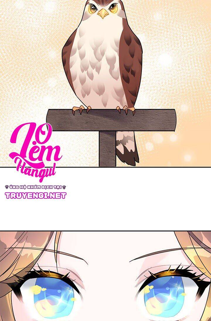 Công Chúa Của Loài Chim - Chương 14