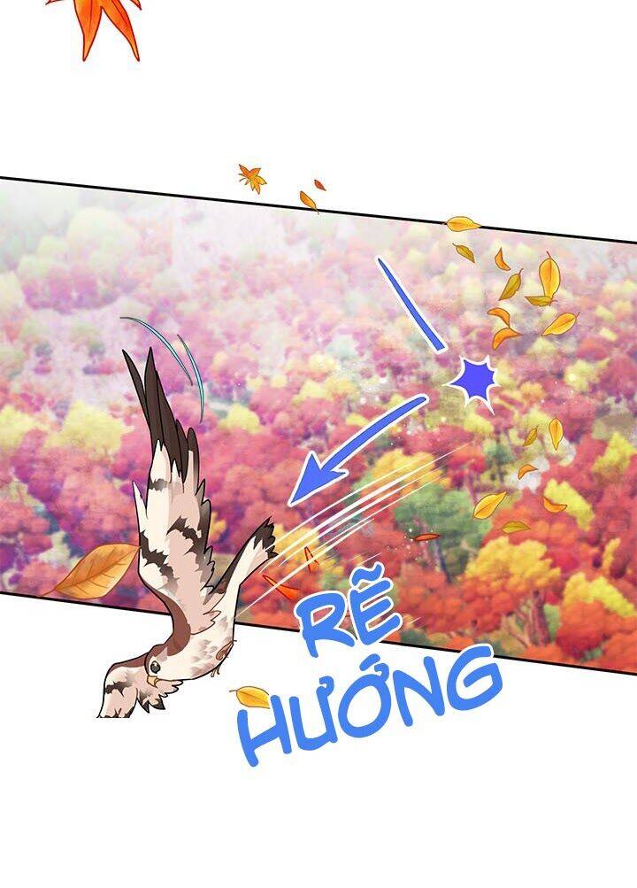 Công Chúa Của Loài Chim - Chương 14