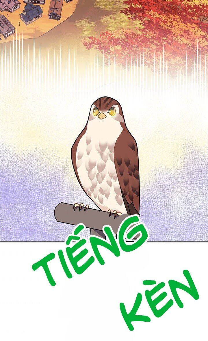 Công Chúa Của Loài Chim - Chương 14