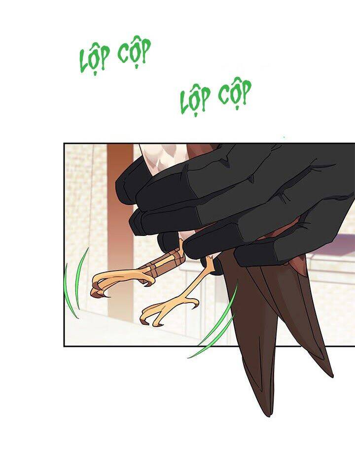 Công Chúa Của Loài Chim - Chương 15