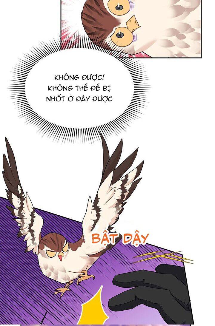 Công Chúa Của Loài Chim - Chương 15