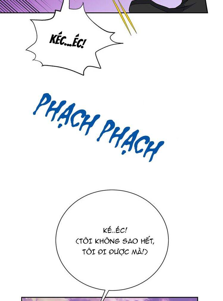 Công Chúa Của Loài Chim - Chương 15