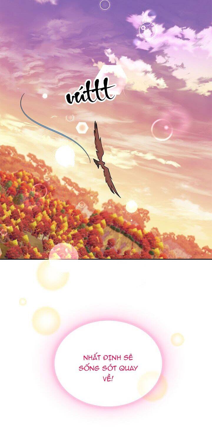Công Chúa Của Loài Chim - Chương 15