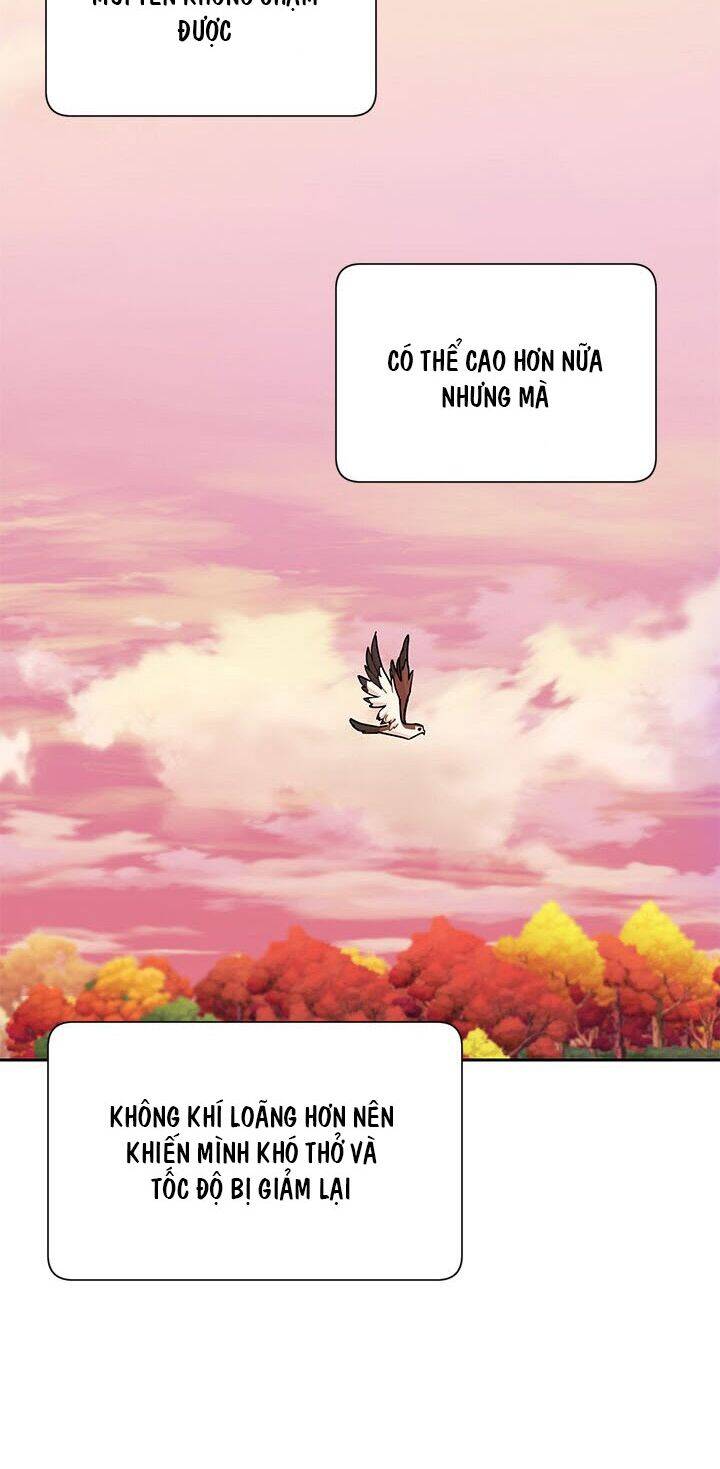 Công Chúa Của Loài Chim - Chương 15