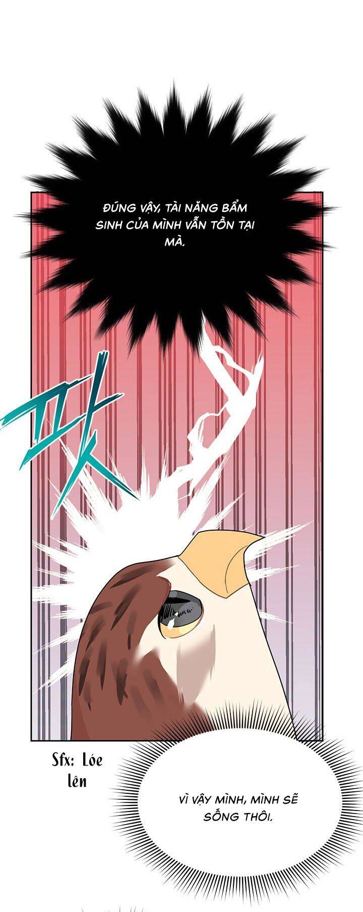 Công Chúa Của Loài Chim - Chương 16