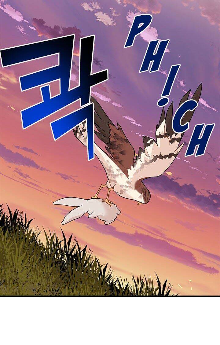 Công Chúa Của Loài Chim - Chương 16