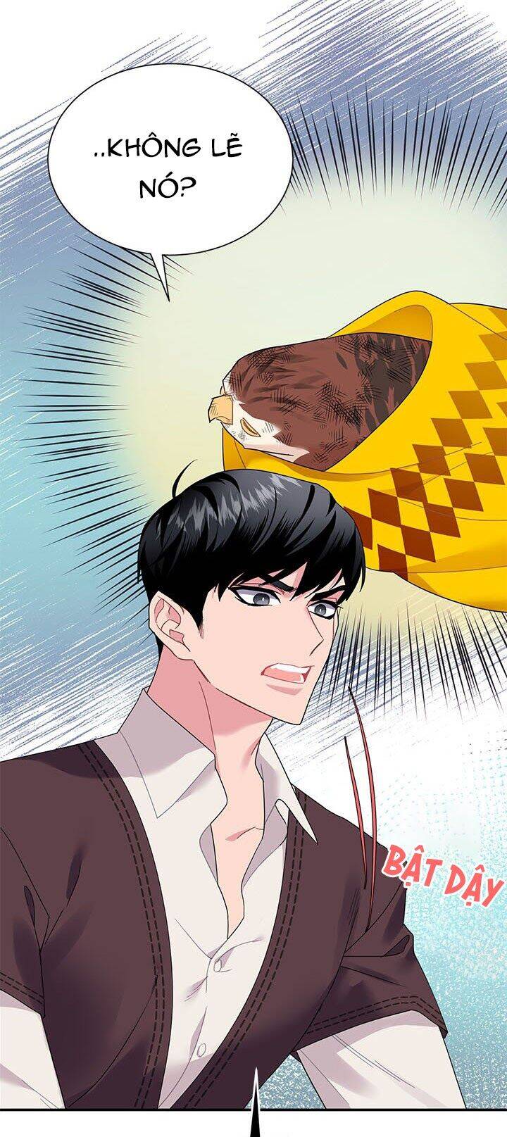 Công Chúa Của Loài Chim - Chương 18