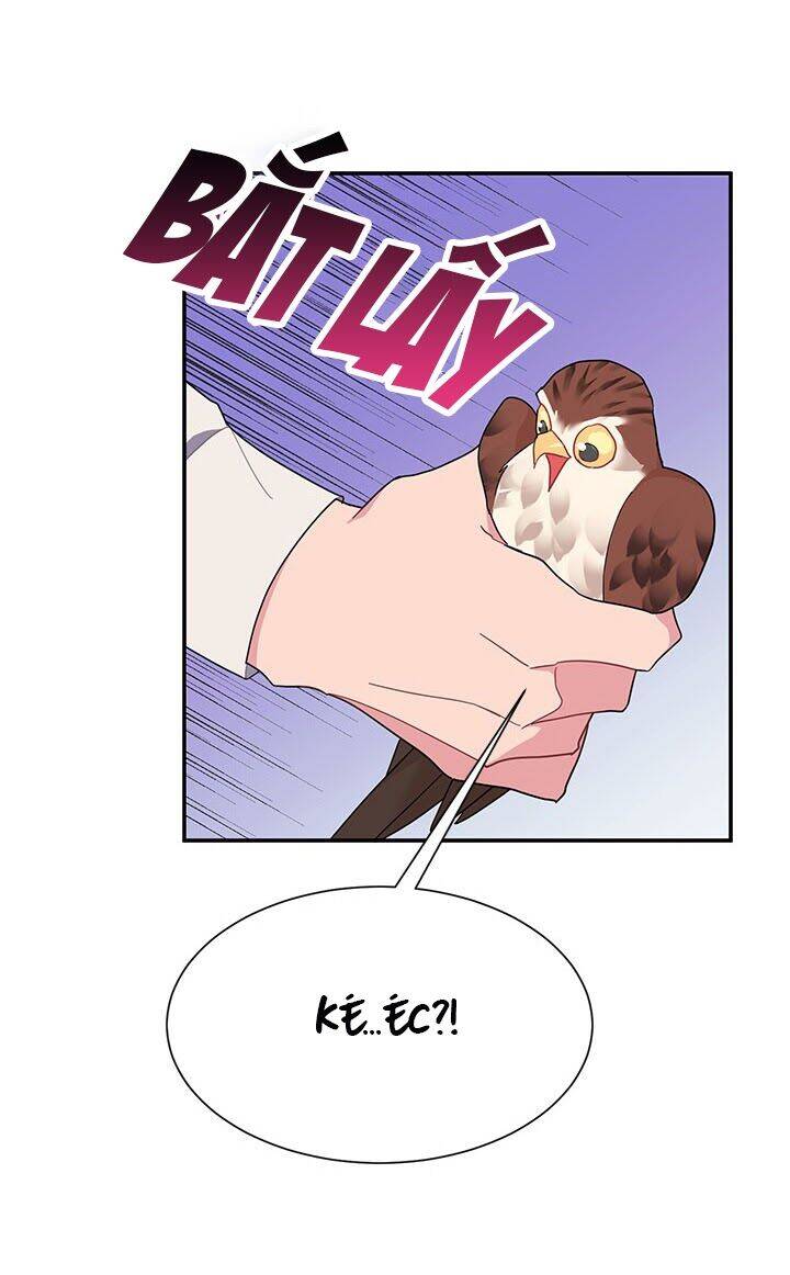 Công Chúa Của Loài Chim - Chương 18