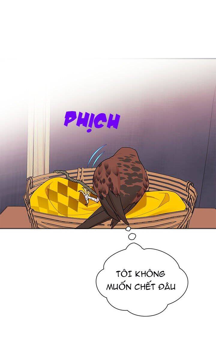 Công Chúa Của Loài Chim - Chương 18