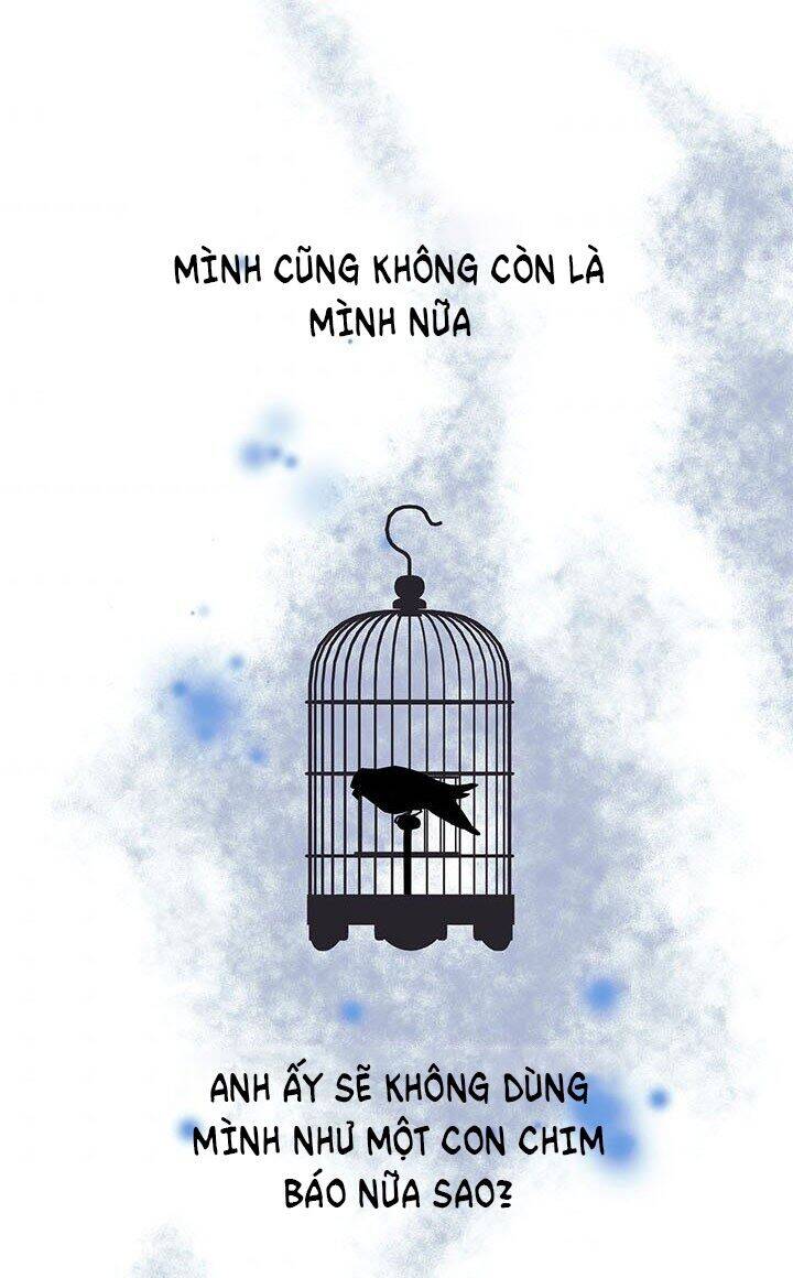 Công Chúa Của Loài Chim - Chương 18