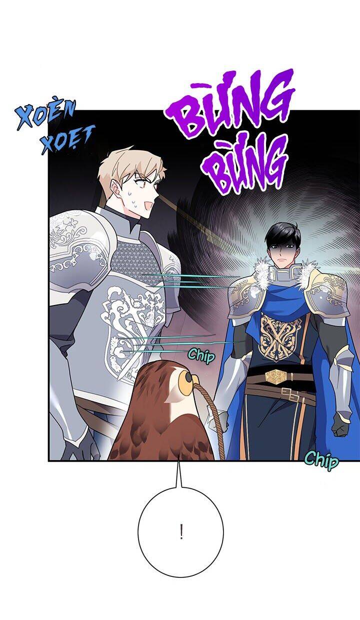 Công Chúa Của Loài Chim - Chương 19