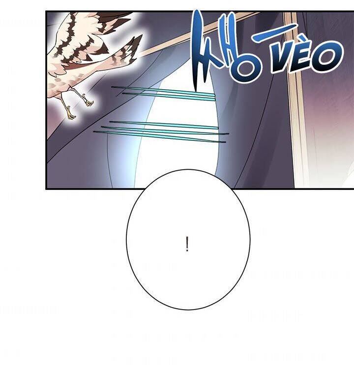 Công Chúa Của Loài Chim - Chương 19