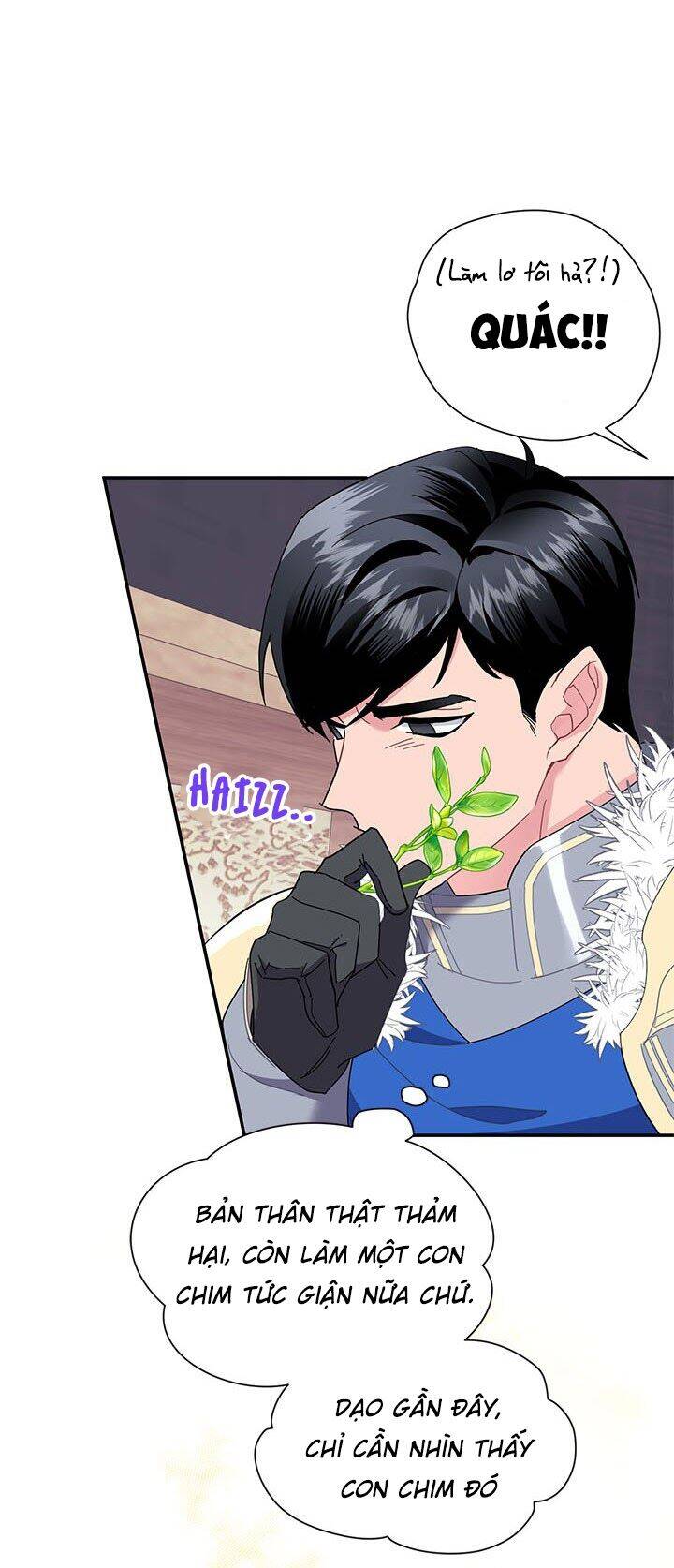 Công Chúa Của Loài Chim - Chương 19