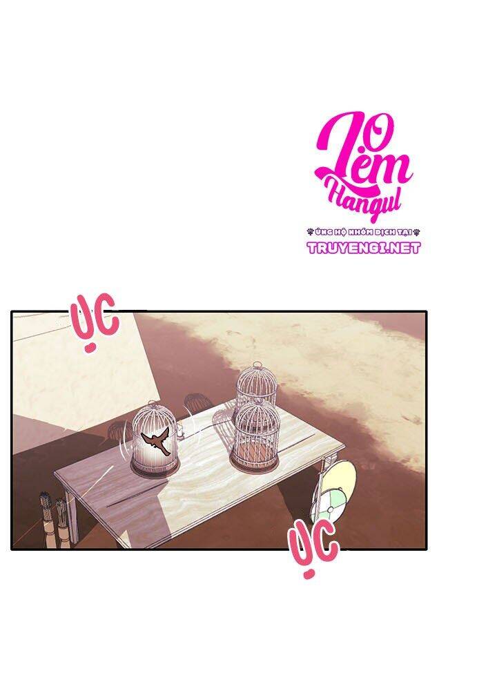 Công Chúa Của Loài Chim - Chương 2