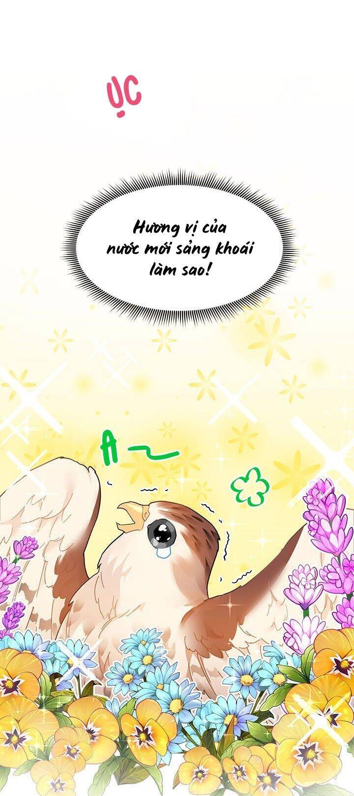 Công Chúa Của Loài Chim - Chương 2