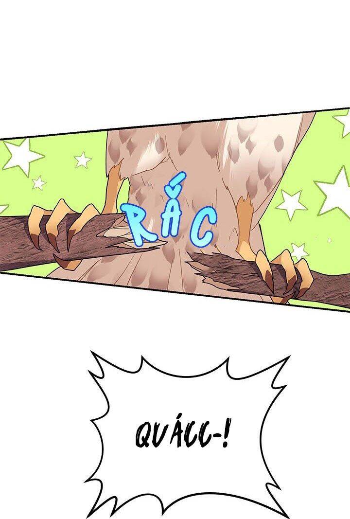 Công Chúa Của Loài Chim - Chương 2