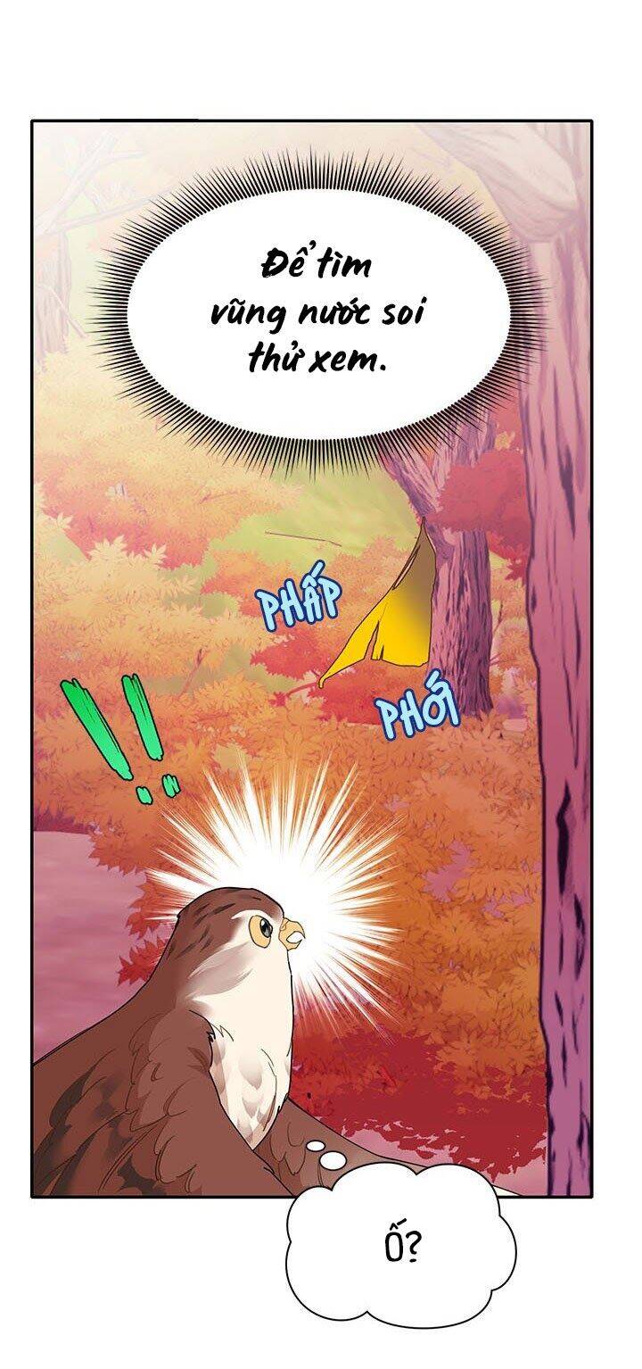 Công Chúa Của Loài Chim - Chương 2