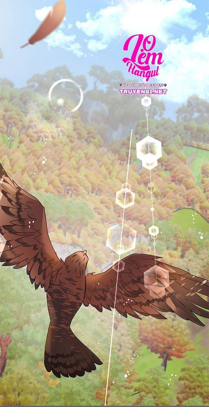 Công Chúa Của Loài Chim - Chương 2