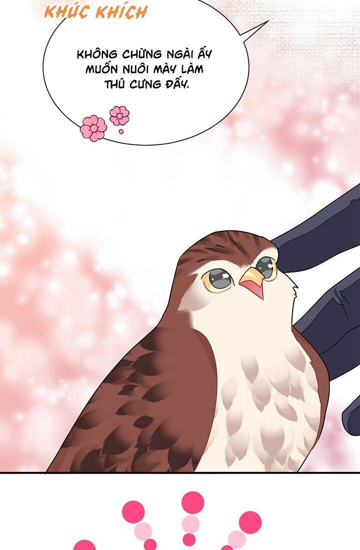 Công Chúa Của Loài Chim - Chương 20