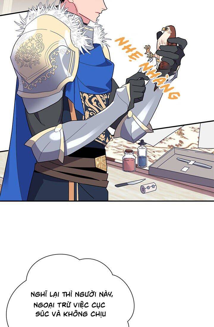 Công Chúa Của Loài Chim - Chương 20