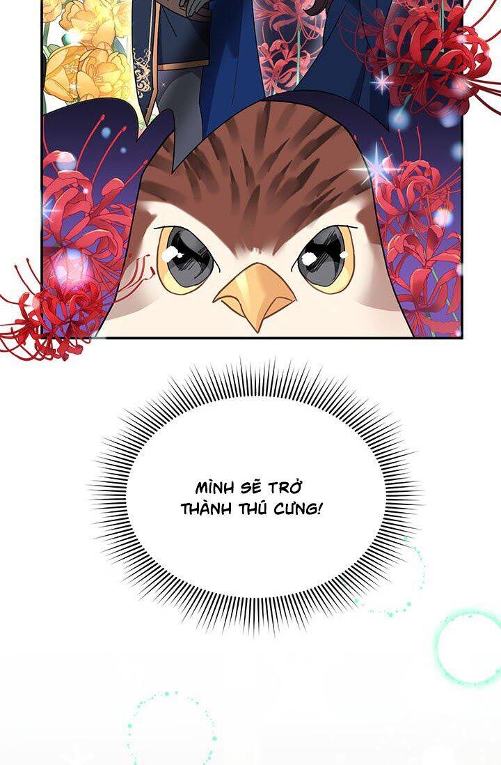 Công Chúa Của Loài Chim - Chương 20